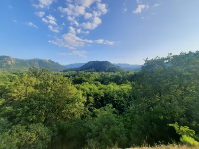 a view of a forest with mountains in the background at Orahovo stone vilas in Virpazar