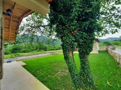 a tree covered in green ivy on the side of a house at Orahovo stone vilas in Virpazar