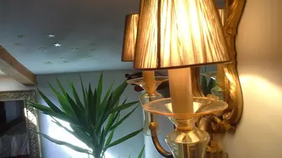 a lamp sitting next to a plant in a room at Studios Kono in Kotor