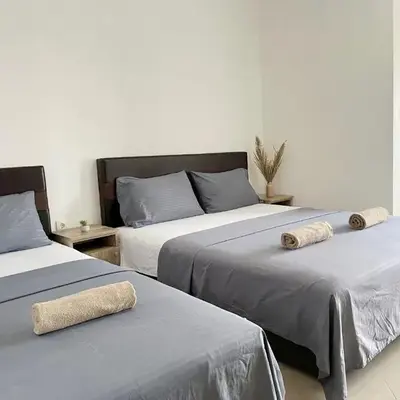 STANDART Premium