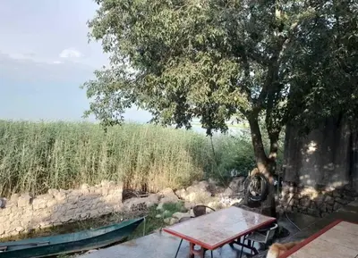 a picnic table under a tree next to a stone wall at Apartment Lake Oasis ''Oko'' in Krnjice