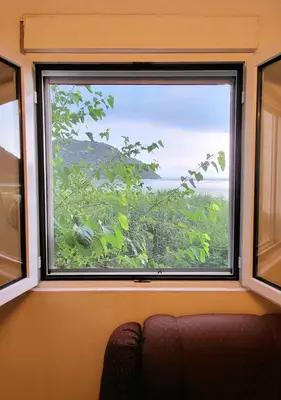 a window with a view of a tree in a room at Apartment Lake Oasis ''Oko'' in Krnjice