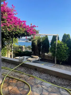 a garden with a hose on the ground at Grlica in Bar
