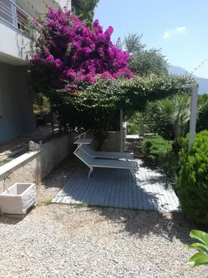 a bench sitting under a tree with pink flowers at Grlica in Bar