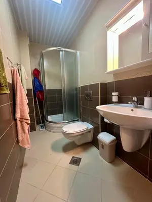 a bathroom with a shower and a toilet and a sink at Apartment Caramel Petrovac in Petrovac na Moru