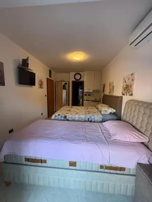 a bedroom with a large bed in a room at Apartman Dejan Rafailovici in Rafailovici