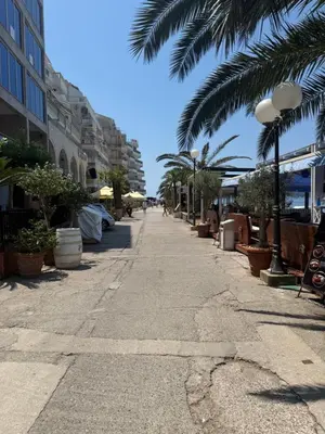 an empty street with palm trees and buildings at Apartman Dejan Rafailovici in Rafailovici