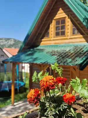 a small wooden house with flowers in front of it at Brvnara RIĆKI in Cetinje