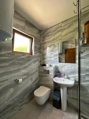a bathroom with a toilet and a sink at Markovic Winery and Estate apartments in Cetinje