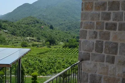 a balcony with a view of a vineyard and mountains at Markovic Winery and Estate apartments in Cetinje