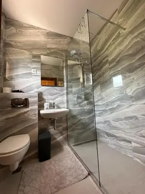 a bathroom with a shower and a toilet and a sink at Markovic Winery and Estate apartments in Cetinje