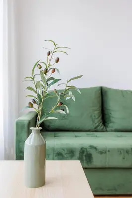 a vase sitting on a table in front of a couch at OLIVA apartment BAR in Bar