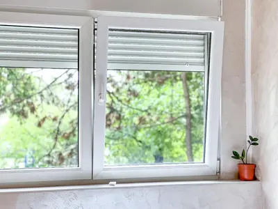 two windows in a room with a potted plant at Nikki’s Apartment Podgorica in Podgorica