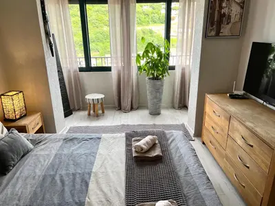 a bedroom with a bed with a television and a plant at Panama apartment in Ulcinj