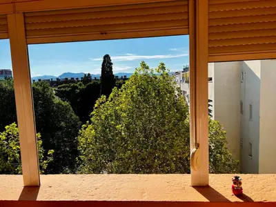 a window with a view of a tree at City Center Square DeLuxe Nest in Podgorica