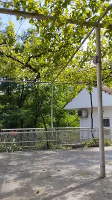 a fence in front of a building with trees at Rijeka Crnojevica Apartment Vujovic in Rijeka Crnojevića