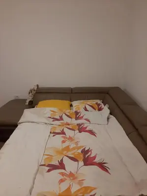 a bed with a floral bedspread and two pillows at Apartment Podgorica in Podgorica