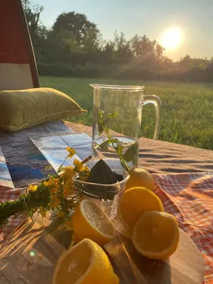 a plate of oranges on a table with a glass of water at Mobile home - Alpha Campers Montenegro - Our Red Westfalia Bus in Podgorica