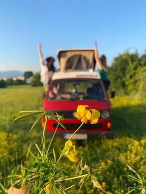 a red car driving down a field with people at Mobile home - Alpha Campers Montenegro - Our Red Westfalia Bus in Podgorica