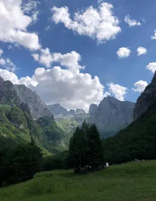 a green field with trees and mountains in the background at Mobile home - Alpha Campers Montenegro - Our Red Westfalia Bus in Podgorica