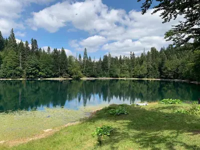 a lake in the middle of a forest at Mobile home - Alpha Campers Montenegro - Our Red Westfalia Bus in Podgorica