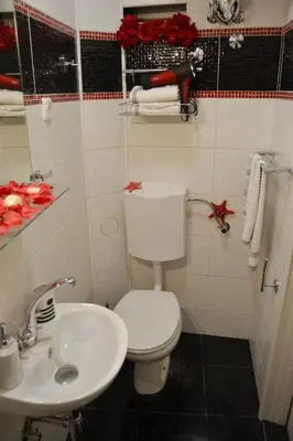 a bathroom with a toilet and a sink at Sea Paradise Apartment in Budva