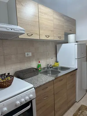 a kitchen with a sink and a white refrigerator at Kropa apartman in Podgorica