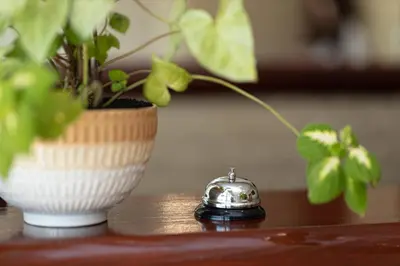 a clock sitting on a table next to a plant at Apartments Adeona in Tivat