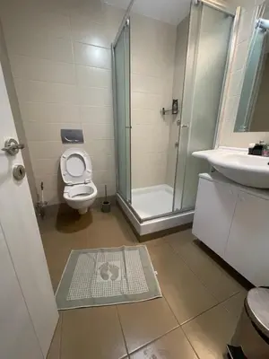 a bathroom with a shower and a toilet and a sink at Miločer Apartman Beograd in Pržno