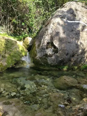 a creek with a large rock in the middle of it at Villa Old Olive in Budva
