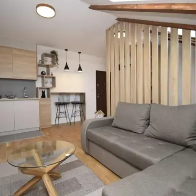 Studio apartment Art Zone II