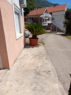 a plant in a pot next to a house at Apartmani Vujovic Markovici 2 in Budva