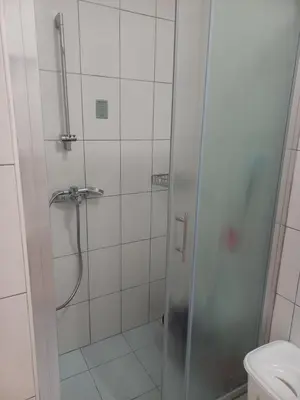 a bathroom with a shower and a toilet at Apartmani Vujovic Markovici 2 in Budva