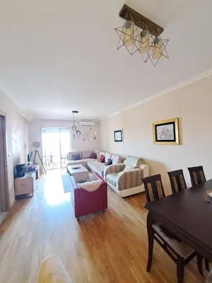 a living room with a couch and a table at VUCETIC Apartment- Podgorica in Podgorica