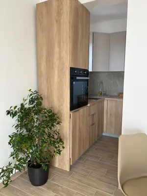 a kitchen with wooden cabinets and a potted plant at Apartments HAS in Kotor