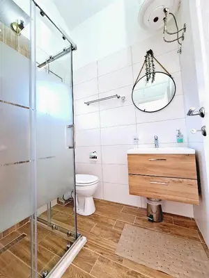 a bathroom with a shower and a sink and a toilet at Sunny Side Apartments in Rijeka Crnojevića