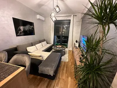 a living room with a couch and a plant at Arbo LUX Apartment in Podgorica