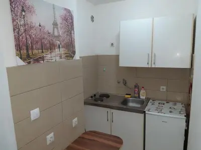 a small kitchen with a sink and a stove at Apartman Paris in Podgorica