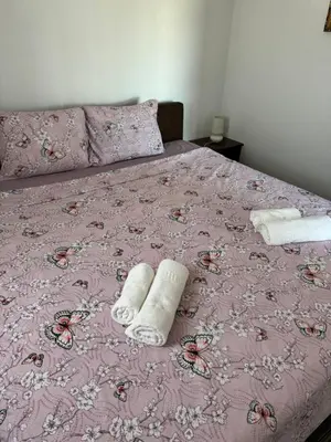 a pink bed with two towels and pillows on it at Apartments Airport Golubovci in Podgorica