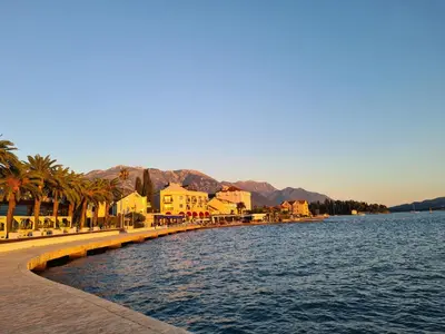 a river with buildings and palm trees next to the water at Черногория Квартира у моря in Rafailovici