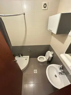 a small bathroom with a toilet and a sink at Stex Urban 3 in Podgorica