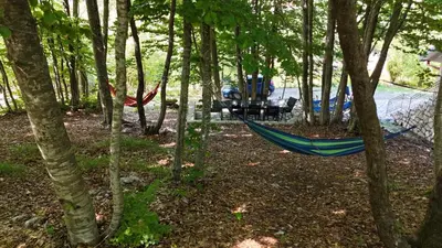 a hammock in the middle of a forest of trees at Vikendica Silenzio in Cetinje