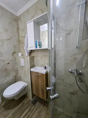 a bathroom with a toilet and a sink and a shower at Vikendica Silenzio in Cetinje