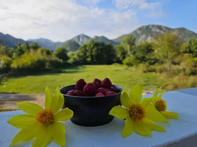 a bowl of fruit on a table with yellow flowers at Sunny Valley in Bar
