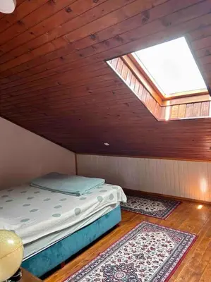 a attic room with a bed and a skylight at Central Park Apartment in Podgorica