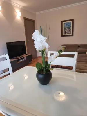 a vase of flowers on a table in a living room at Cozy Central Apartment next to Bus and Train Station in Podgorica