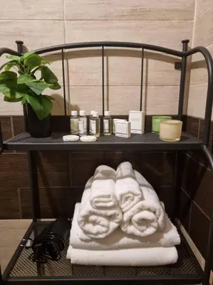 a shelf with towels and a plant in a bathroom at Cozy Central Apartment next to Bus and Train Station in Podgorica