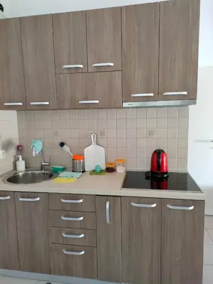 a kitchen with wooden cabinets and a sink at 1-Bedroom Apartment in Bigovo