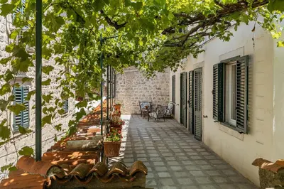 an alley in a house with trees and plants at Apartments Leo in Kotor
