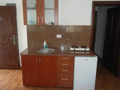 a small kitchen with a sink and a stove at Apartments Pekic in Bar
